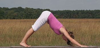 Yoga-Übung-abwärtsgerichteter-Hund-Adho-Mukha-Svasana