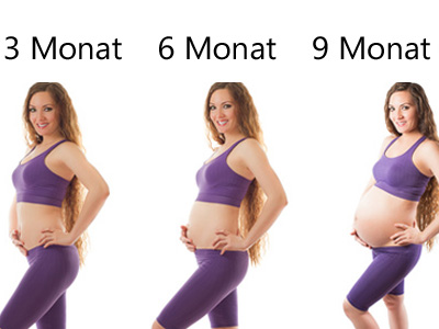 Schwangerschaftszyklus