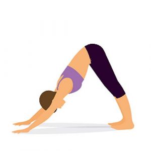 Yoga-Übung herabschauender-Hund-Adho Mukha Svanasana